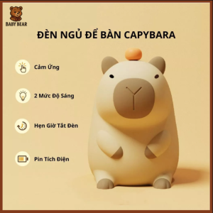 den ngu de ban capybara 2